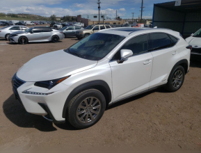 Lexus NX 300H 2019 - 1 | bex-auto.md