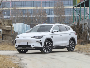 Byd Song Plus New Energy Basic 2025 | bex-auto.md
